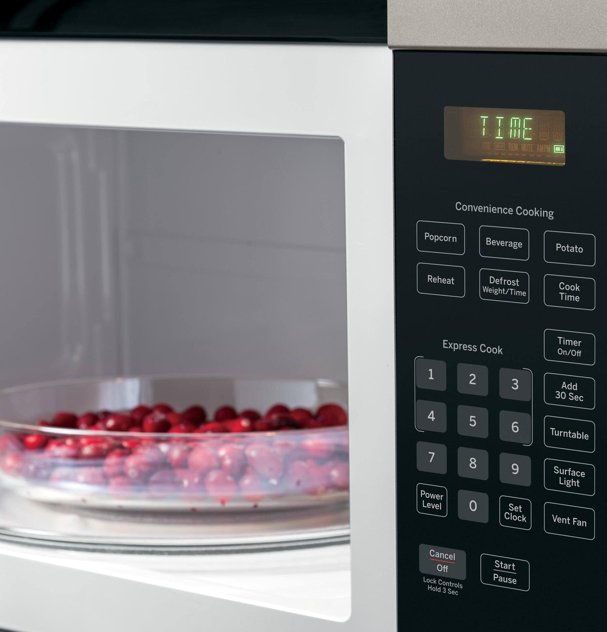 1.6 Cu. ft. Silver Over-the-range Microwave Oven E855