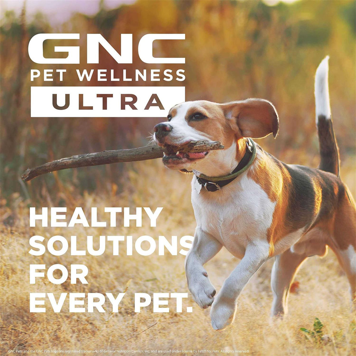 Pet Wellness Ultra Calming Support for Adult Dogs 2 Fluid Ounces I364922